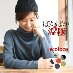 https://thumbnail.image.rakuten.co.jp/@0_mall/auc-ecoloco/cabinet/p76/e1936-1.jpg