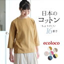 日本製 綿100% Tシャツ 七分袖 無地 レディース カットソー/ カジュアル シンプル ナチュラル ラグラン 16番手天竺コットン トップス エコロコ e+,/ 大きいサイズ 大きめ 春 秋 冬 25AW0718R,