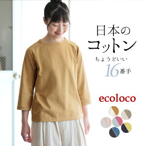 【メール便可】 日本製 綿100% Tシャツ 七分袖 無地 レディース カットソー/ カジュアル シンプル ナチュラル ラグラン 16番手天竺コットン トップス エコロコ e+,/ 大きいサイズ 大きめ 春 秋 冬 25AW0718R,