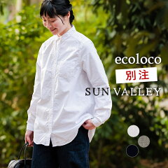 https://thumbnail.image.rakuten.co.jp/@0_mall/auc-ecoloco/cabinet/p79/sk-33641-1.jpg