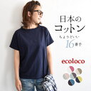 【クーポンで500円OFF】 【メール便可】日本製 M～3L オリジナル 半袖 Tシャツ ラグランカットソー 綿100%／着後レビューでクーポン☆ カジュアル シンプル 無地 トップス コットン おしゃれ レ…