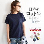 【メール便可】日本製 M～3L オリジナル 半袖 Tシャツ ラグランカットソー 綿100%／着後レビューでクーポン☆ カジュアル シンプル 無地 トップス ティーシャツ コットン レディース エコロコ e+ Ms,Ls,LL,3L,／ 大きいサイズ 春 夏 30代 40代 50代 24SS0419R, 母の日 ギフト