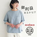 【メール便送料無料】 かくれんぼビリケンTシャツ ビリケンさん 半袖 レディース 綿100% コットン/ 着後レビューでクーポン☆ カジュアル ナチュラル 涼し...