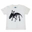 オリジナル子供Tシャツ 白 恐竜カスモサウルス 100 110 120 130 140 150cm 2,280円