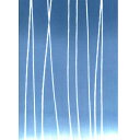 手ぬぐい 日本製 綿100% 梨園染 注染 雨やどり 約37×98cm【メール便(ポスト投函便)対応商品】季節/夏/梅雨/生活