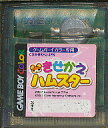 GBC きせかえハムスター (カラー専用・ソフトのみ)【中古】 ゲームボーイカラー