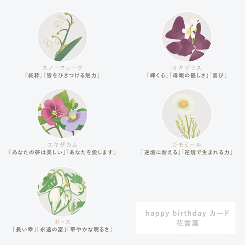 あまのっぽ　メッセージカード　ギフトカード　花束　花言葉　出産祝い　贈り物　お礼　誕生日　プレゼント