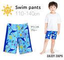 30％OFF！　スイムパンツ　水着　男の子　ロング　水泳　水泳教室　男児　マリン　ブルー　海　100cm　110cm　120cm　130cm　140cm　ザジーザップス　Zazzy Zaps　1点のみネコポス発送OK！　プール　川遊び　水遊び　幼稚園　保育園　小学校