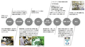 フランスベッド AS Nシステマックスプラチナ EW95 高級羽毛ふとん 温かい クイーン オールシーズン 2枚組み 掛け布団 インペリアル 日本製寝具 送料無料 洗える 洗濯可【10年保証】