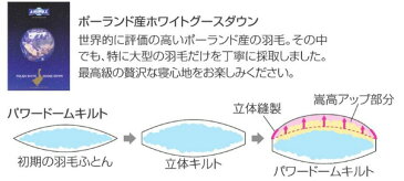 フランスベッド AS Nシステマックスプラチナ EW95 高級羽毛ふとん 温かい ダブル オールシーズン 2枚組み 掛け布団 インペリアル 日本製寝具 送料無料 洗える 洗濯可【10年保証】