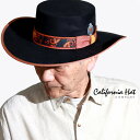 ウエスタンハット カウボーイハット ポリエステルスエード CANVAS ランチャーハット stampede hat 帽子 メンズ California Hat ...