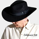 ウエスタンハット カウボーイハット CANVAS ポリエステルスエード ランチャーハット stampede hat 帽子 メンズ California Hat ...