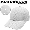 ylR|XΉzp`ObV [vt@C Lbv - zCg Punching Mesh Low Profile Cap Y fB[X Xq Lbv BB Lbv 傫 TCY J[u Ȃ  oCU[ t[ n \bh  ʋC jp White 