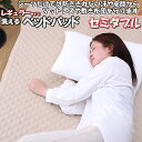 \最大1000円OFFクーポン/ ベッドパッド セミダブル 120×200 キルト 敷きパッド 洗える 洗濯機 OK 敷パッド かわいい セミダブルサイズ 120 200 cm 夏 汗 皮脂 汗取り パッド キルティング