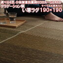 \最大1000円OFFクーポン/ い草 ラグ 190×190 グラデーション 制菌 抗菌 防臭 消臭 夏 用 涼しい おしゃれ 和 モダン 和 ラグ カーペット 約 2畳 和風 可愛い ござ 夏ラグ天然 190 cm 角 正方形 かわいい リビング ダイニング フロア マット エスニック 北欧