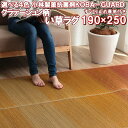 \最大1000円OFFクーポン/ い草 ラグ 190×250 グラデーション 制菌 抗菌 防臭 消臭 夏 用 涼しい おしゃれ 和 モダン 和 ラグ カーペット 約 3畳 和風 可愛い ござ 夏ラグ天然 190 250 cm 長方形 かわいい リビング ダイニング フロア マット エスニック 北欧