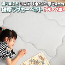 ＼1000円OFFクーポン★12時～／ 冷感 極厚 ラグ カーペット 190×240 約 2.5畳 ボリューム ラグマット 夏用 ひんやり 冷たい 接触冷感素材 滑り止め付 おしゃれ 北欧 下敷き 夏 オールシーズン らぐ ragu