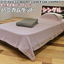 \最大1000円OFFクーポン/ 国産 ハニカムケット シングル ワッフルケット 泉州 綿100 通気性 さらさら やわらか 薄 掛け 布団 綿 100% ケット 洗える 丸洗い 寝具 洗濯 吸汗 吸水 保温 春夏 夏 北欧 秋冬 おしゃれ かわいい ブラウン ラベンダー 日本製
