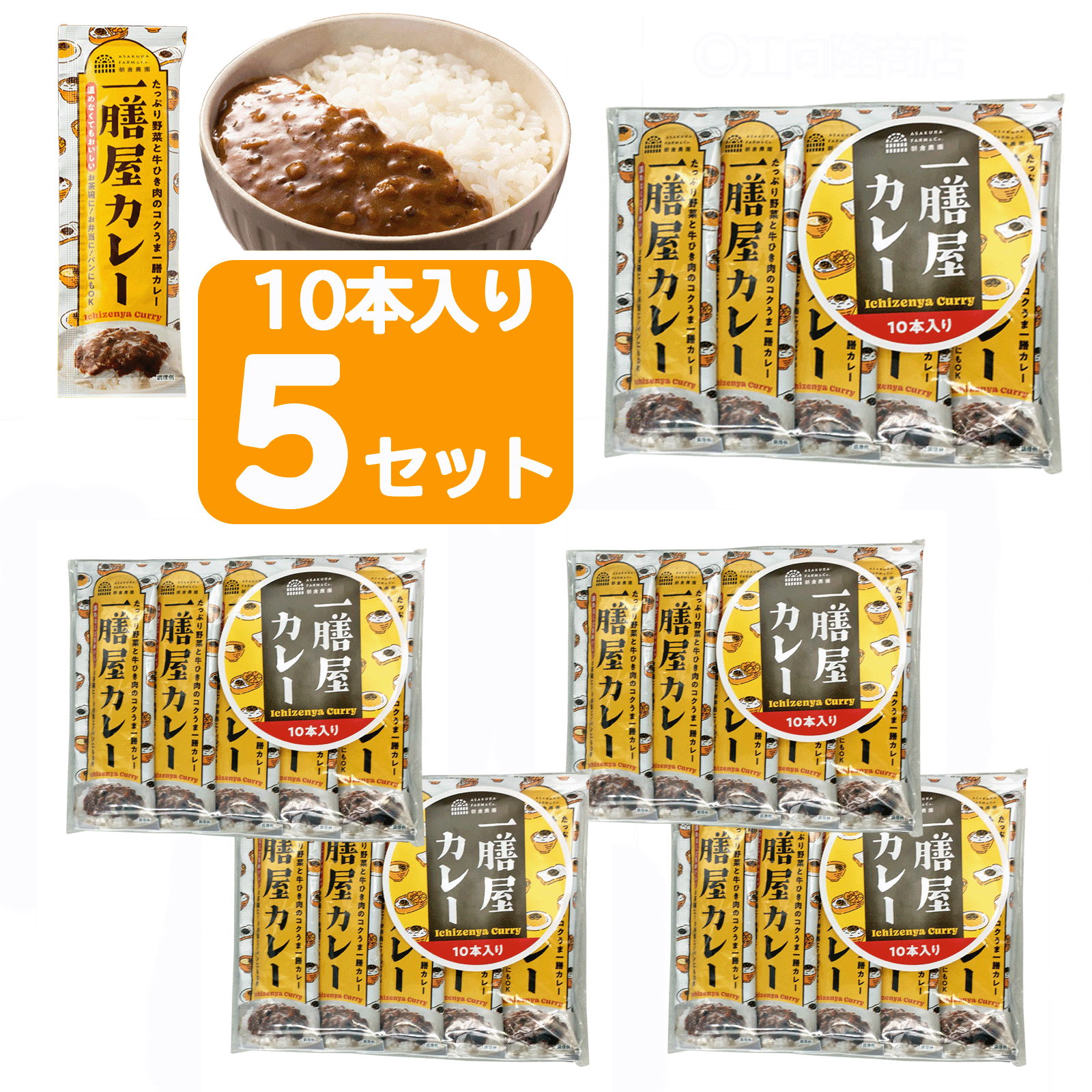 一膳屋カレー ひとくちカレー 40g×10本入り 5セット たっぷり野菜と牛ひき肉のコクうま　宮島醤油 プチカレー ちょっとカレー ちょこっとカレー お弁当に 日本製 送料無料