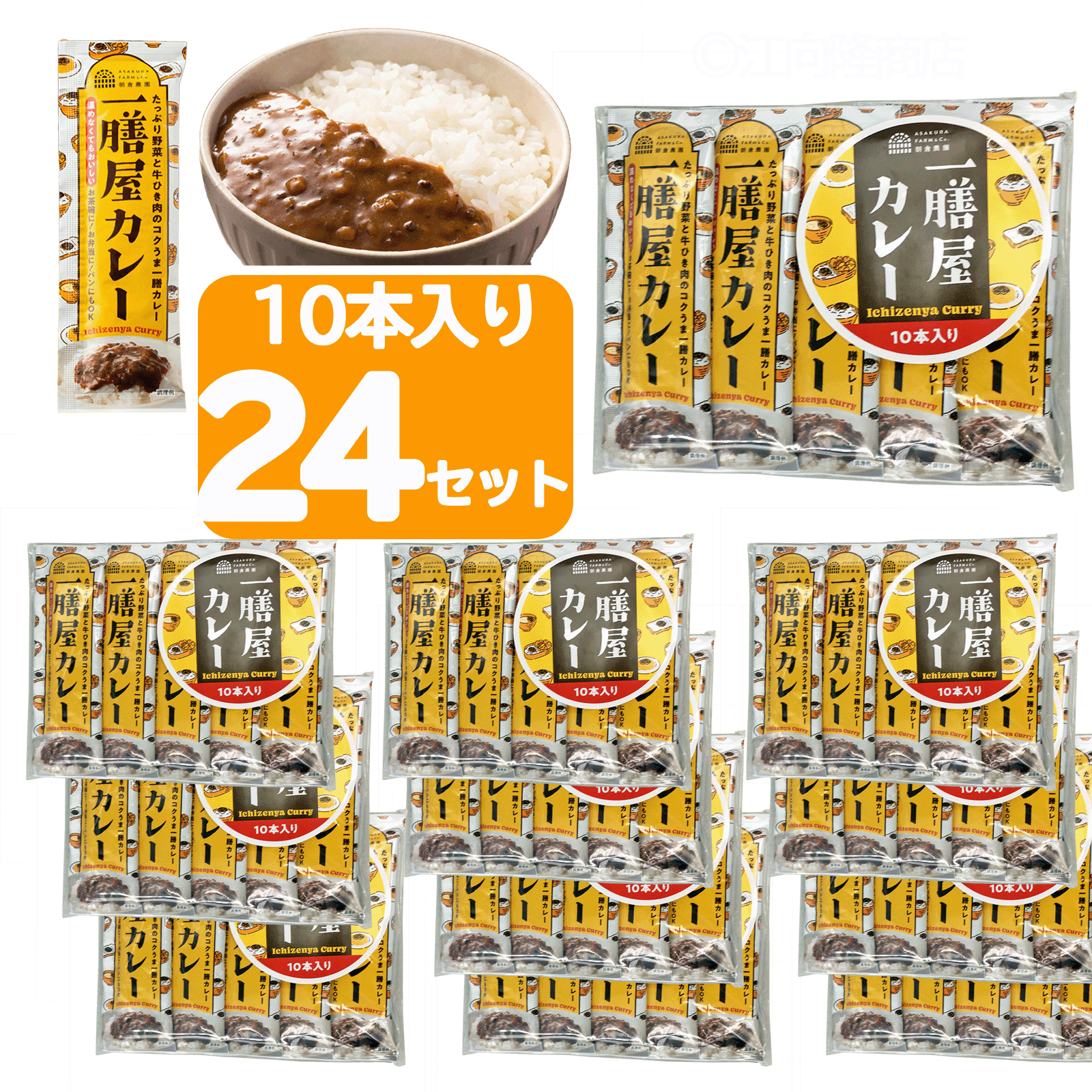 一膳屋カレー ひとくちカレー プチカレー ちょっとカレー ちょこっとカレー カレー たっぷり野菜と牛ひき肉のコクうま一膳カレー お弁当に 10袋入り24セット　1箱 日本製 送料無料