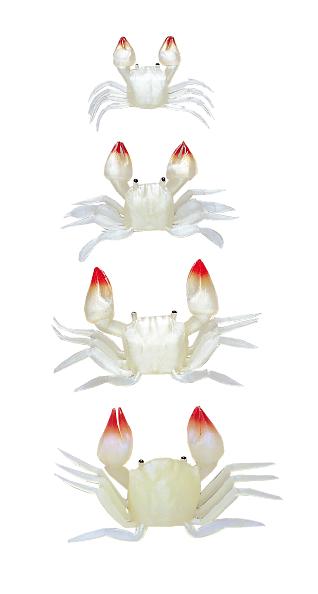 �ѡ���ۥ磻�� [L] NPK(�ʥ�����)(1512)