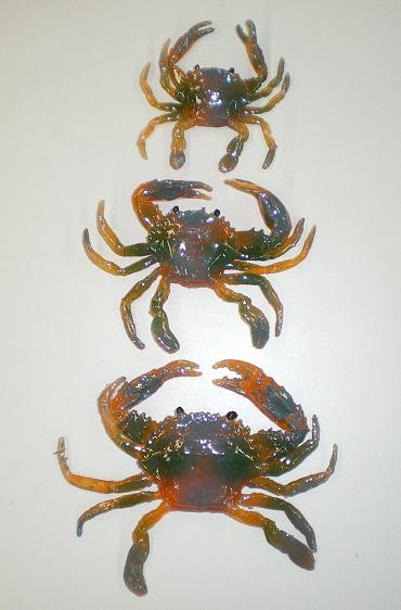 ʥŷԾŹ㤨֥勵ꥬ [L] NPK(ʥ(2408פβǤʤ440ߤˤʤޤ