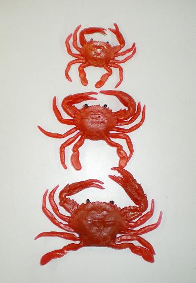 ʥŷԾŹ㤨֥勵ꥬ [M/å] NPK(ʥ(2432פβǤʤ363ߤˤʤޤ