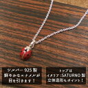 ネックレス ペンダント シルバー925 てんとう虫 エナメル彩色 レディース プレゼント ギフト