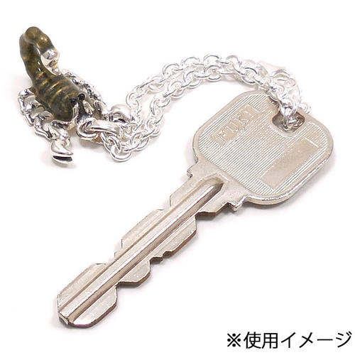 本店は キーホルダー キーチェーン シルバー925 サソリチャーム エナメル彩色 レディース メンズ 正規激安 Celeredistribuidora Com Br 本店は キーホルダー キーチェーン シルバー925 サソリチャーム エナメル彩色 レディース メンズ 正規激安 Celeredistribuidora Com Br