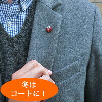サツルノ:てんとう虫のシルバーピンブローチ