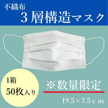 【再入荷です！】【不織布立体プリーツ仕様マスク（50枚1箱）♪】【レディス＆メンズ　マスク】＜オフ白：17.5cm×9.5cm＞【白　マスク】【花粉症対策】【咳対策】【粉塵対策】【災害対策】【送料無料♪】