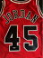 Michael Jordan Autographed 94-95 Champion Pro Cut Red Jersey #45 UDA