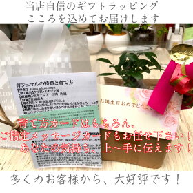 ギフトラッピングもお任せください!