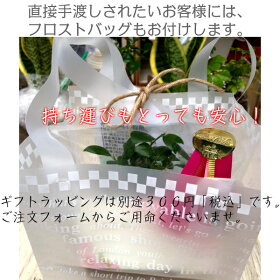 手渡しギフトにも安心のおしゃれなフロストバッグ付き!