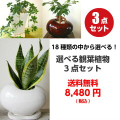 https://thumbnail.image.rakuten.co.jp/@0_mall/auc-eps/cabinet/1bn350.jpg