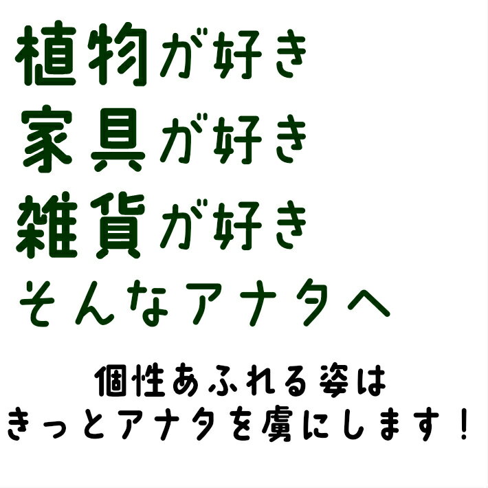 【送料無料】 クラッスラ 火祭り 観葉植物 多肉植物 鉢植え 陶器鉢 ホワイト サークル 高さ15cm程度 受け皿付き 【土植え 白 丸 陶器 デスク 風水 ユーロプランツ 日陰 インテリア 北欧 加湿器 簡単 丈夫 ミニ観葉 トイレ ギフト お祝い おしゃれ 室内 植物工房eps】