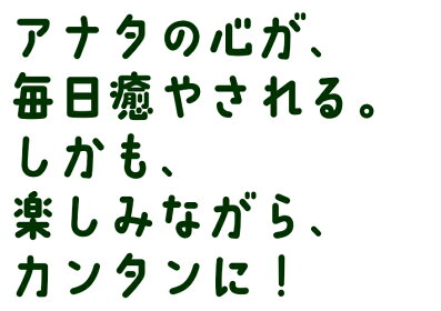 !エアープランツブラキカウロスデザイングラス【エアプランツ種類ギフト観葉植物ガラスミニインテリア誕生日人気】