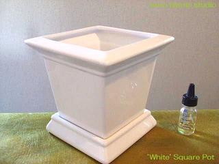 【5,400円以上で 送料無料】 モダンなスクウェアポット 植物用ホワイト陶器鉢 & epsオリジナルブレンド土のセット 送料無料 & 選べるプレゼント (ユーロプランツスタジオ)