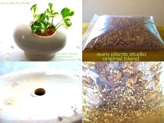 【送料無料】 流通少 モダンな卵型ポット EggPotエッグポット(ホワイト) 植物用陶器鉢 & epsオリジナル植物土のセット (ユーロプランツスタジオ) [3]