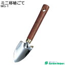 小型 園芸用 移植ごて 移植鏝 移植ゴテ スコップ シャベル スチール ゴールド 天然木柄 ミニ移植ごて Garden Helper GM-1 本格 ガーデニン...