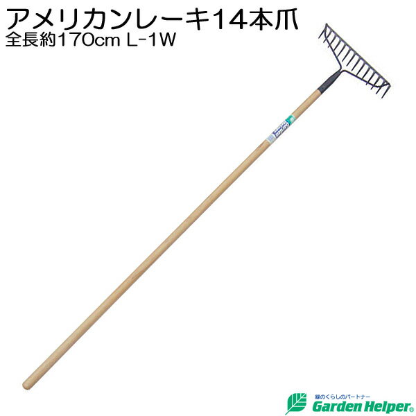 レーキ 天然木 長柄 スチール アメリカンレーキ14本爪 全長約170cm Garden Helper ガーデンヘルパー L-1W 畑の地ならし グラウンドやゴルフ場の整備に