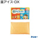 温アイスDX ケンユー 温冷両用 枕 簡単 便利 携帯 補助 介助 高齢者 シルバー 敬老の日 贈り物 プレゼント 夏 冬