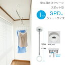 物干し 室内物干し 吊り下げ 物干し金物 物干金物 川口技研 ホスクリーン スポット型 SPD型 Sサイズ 32cm ホワイト スムーズなポール装着 1本