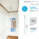 物干し 室内物干し 吊り下げ 物干し金物 物干金物 川口技研 ホスクリーン スポット型 SPE型 標準サイズ 45cm ホワイト 半埋込フラットタイプ 1本