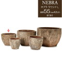 【8%OFFクーポン6/4 14時まで】 プランター 植木鉢 大型 おしゃれ 円形 円 アンティーク 陶器鉢 ネブラ ラウンド 直径550×高さ420 穴あり ガーデニング 園芸用品 庭 深型 店舗 花 木 かわいい 鉢 送料無料