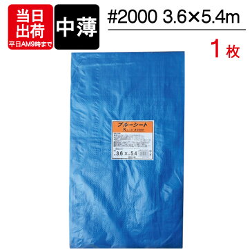 ブルーシート 中薄 5.4×3.6m #2000 1枚単位 BS-3654K レジャー シート 敷物 ござ 災害 台風 防災 養生 対策 運動会 行楽 花見 海水浴 キャンプ テント 雨よけ 防水 屋外 アウトドア 作業 道具 DIY