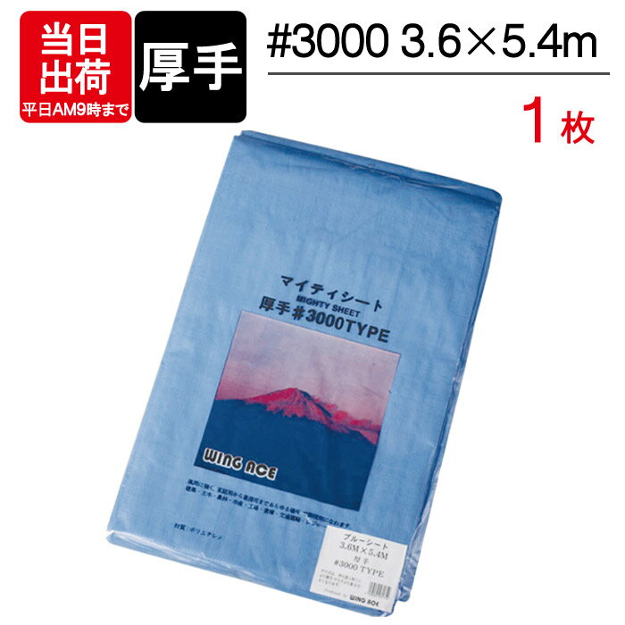 ブルーシート 厚手 5.4×3.6m #3000 1枚単位 レジャー シート 敷物 ござ 災害 台風 防災 養生 対策 運動会 行楽 花見 海水浴 キャンプ テント 雨よけ 防水 屋外 アウトドア 作業 道具 DIY