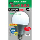 投光器 電球 交換 led 電球 100v ビッグルミネ 30W 屋内用 超高輝度 口金E26 作業灯 ワークライト 照明 ライト 建築現場 アウトドア 防災 ...