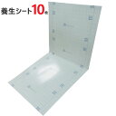 床養生シート 床 養生板 養生材 メジャーボード 2つ折りタイプ 900mm×1800mm 10枚セット ポリエチレンフィルム 紙管原紙 発泡ポリエチレン フロ...
