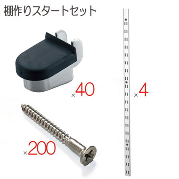 棚柱 棚受け 取付ビス ステンレス 重量用 ガラス棚板対応セット品 棚作りスタートセット品 棚柱4本 棚受け金具40個 取付ビス200本 おしゃれ 目盛り付 棚作り 木工事 クローゼット 書斎 本棚 シンプル ガレージ 押し入れ DIY